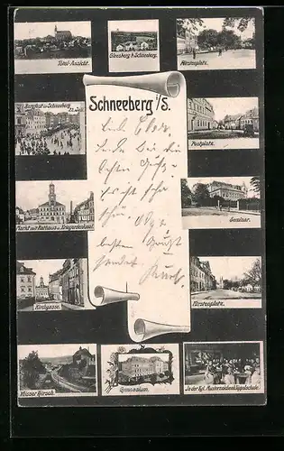 AK Schneeberg i. S., Totalansicht, Gleesberg, Fürstenplatz, Markt mit Rathaus, Kirchgasse, Seminar