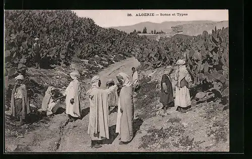 AK Algerie, Scene et Types, arabische Volkstypen, auf dem kakteenfeld