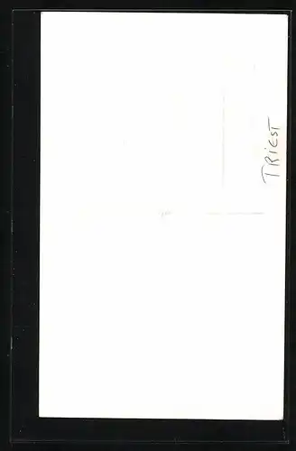 Foto-AK Triest, Fischerboote am Ufer