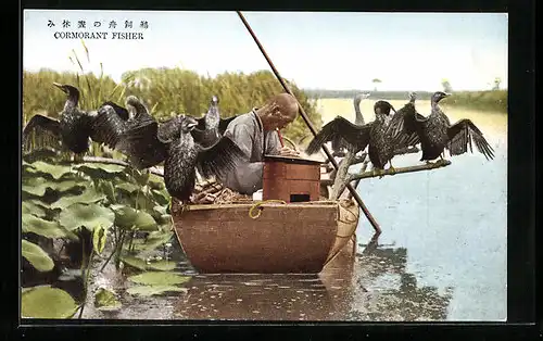 AK Comorant Fisher, Fischerei