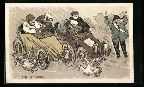 AK Zwei Autos bei einem Autorennen scheuchen Gänse auf