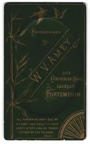 Fotografie W. V. Amey, Portsmouth, 253 Commercial Road, Schwalben mit Bambus und Anschrift des Fotografen