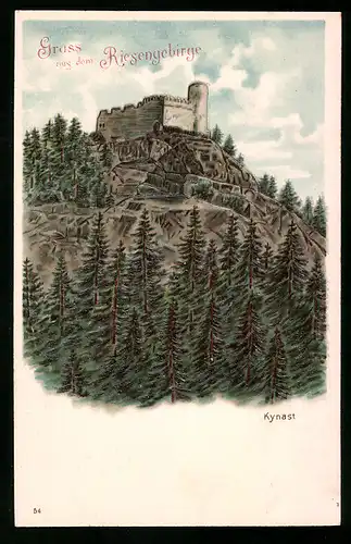 Relief-AK Hirschberg, Ruine auf dem Kynast