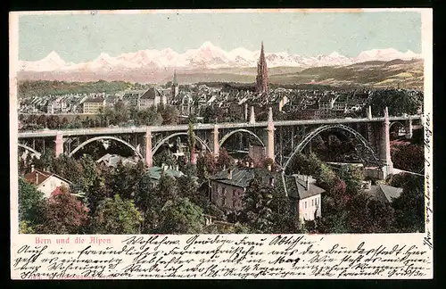 Relief-AK Bern, Gesamtansicht mit Alpenpanorama