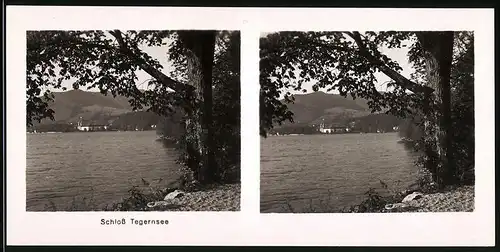 Fotografie unbekannter Fotograf, Ansicht Tegernsee, Blick über den See zum Kloster