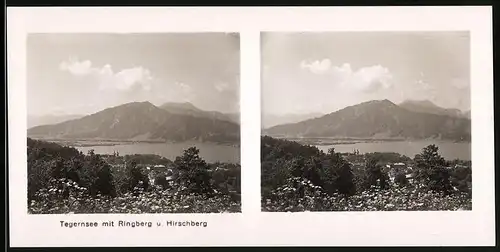 Stereo-Fotografie unbekannter Fotograf, Ansicht Kampen / Tegernsee, Seeblick mit Ringberg & Hirschberg