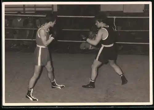 Fotografie Alwin Haupt, Berlin-Lichterfelde, Boxkampf, Boxer im Kampf