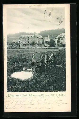 AK Schönwald /Baden, Ortspartie mit Brunnen