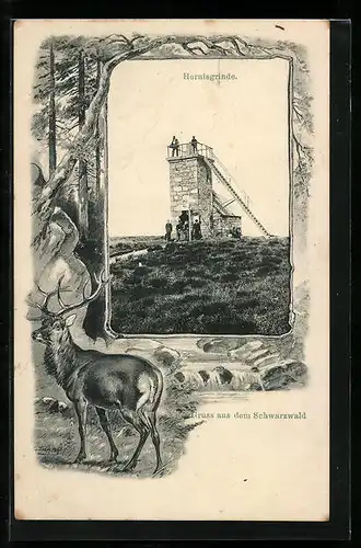 Passepartout-AK Hornisgrinde, Aussichtsturm, Hirsch im Schwarzwald