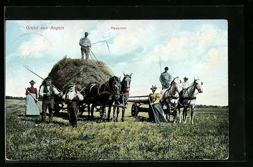 AK Angeln, Bauern bei der Heuernte