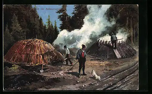 AK Köhler im Schwarzwald, Forstwirtschaft