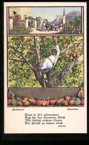 AK Bauer bei der Apfelernte