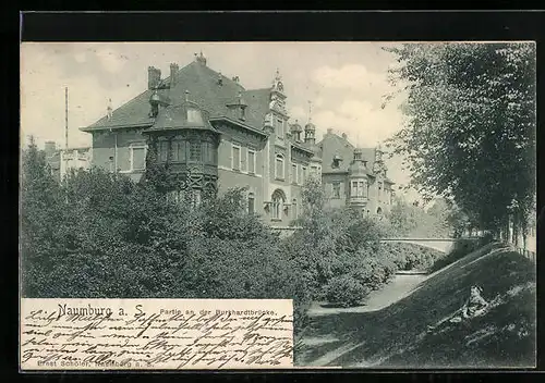 AK Naumburg a. S., Villen an der Burkhardtbrücke, mit Strassenblick
