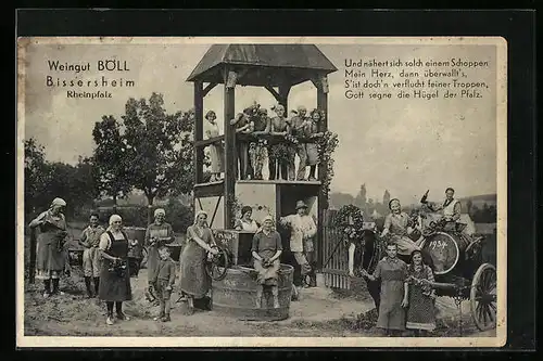AK Bissersheim /Rheinpfalz, Weingut Böll