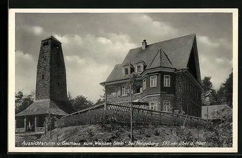 AK Heidelberg, Aussichtsturm u. Gasthaus zum Weissen Stein