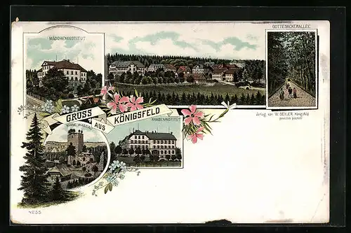 Lithographie Königsfeld, Mädcheninstitut, Ruine Waldau, Gottesackerallee