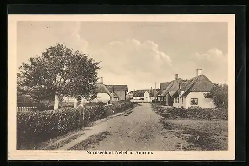 AK Nebel a. Amrum, Ortsansicht mit Reetgedeckten Häusern