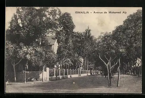 AK Ismailia, Avenue de Mohamed Aly