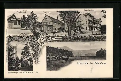 AK Gehlberg, Gasthaus Schmücke, Speisesaal, Pensionshaus und Schneekopfturm