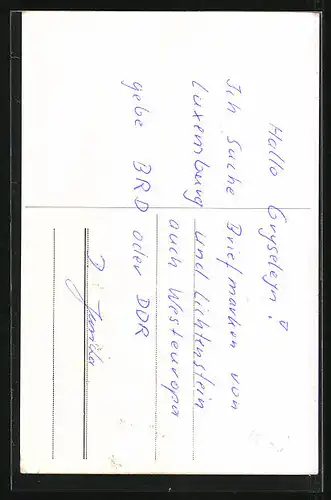 AK Reichenbach i. V., Partie am Wohnhaus Albert Gruschwitz