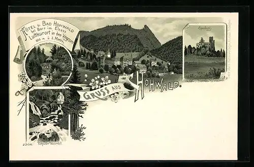 Lithographie Hohwald bei Barr, Ortsansicht, Hotel und Bad Hohwald, Spesburg