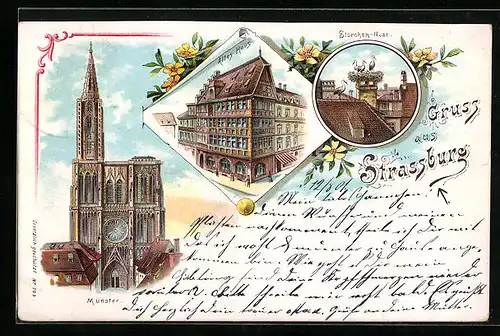 Lithographie Strassburg, Altes Haus, Münster, Storchen-Nest