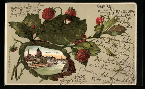 Lithographie Strassburg, Thomasstaden, Erdbeeren