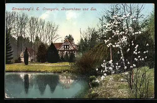 AK Strassburg i. E., Orangerie, Bauernhaus und See