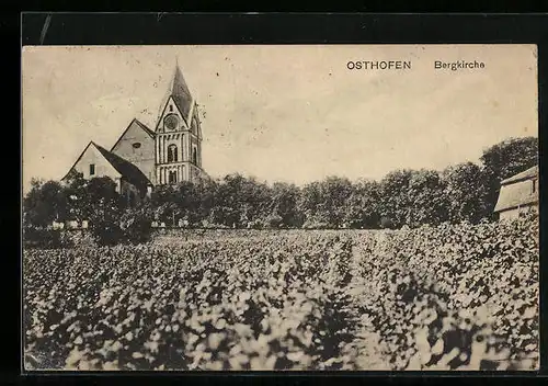 AK Osthofen, Bergkirche, von einem Feld gesehen