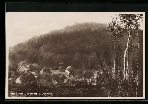 AK Collm, Teilansicht mit Collmberg