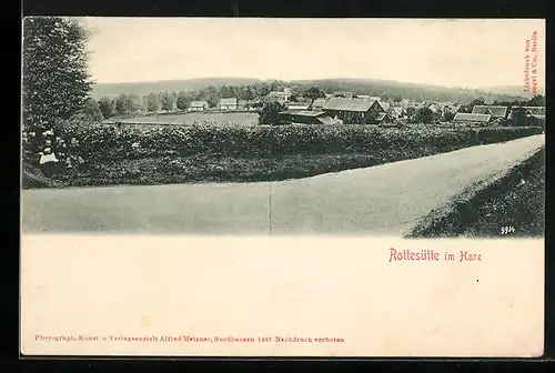 AK Rottesütte i. Harz, Ortsansicht mit Strassenpartie