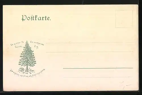 AK Rottesütte i. Harz, Ortsansicht mit Strassenpartie