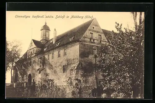 AK Mühlberg /Elbe, Ehemaliges kurfürstl. sächs. Schloss