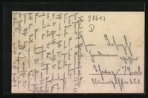 AK Meiningen, Gesamtansicht mit Fernblick