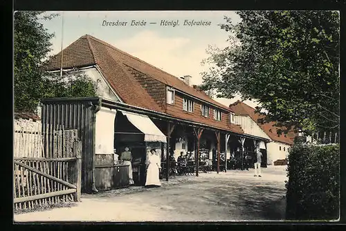AK Langebrück i. S., Gasthaus Dresdner Heide, Hofewiese