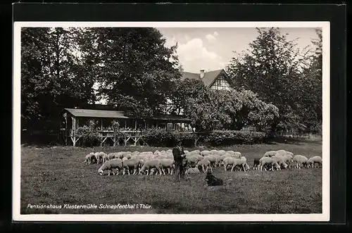 AK Schnepfenthal /Thür., Pensionshaus Klostermühle, Schäfer mit seiner Herde