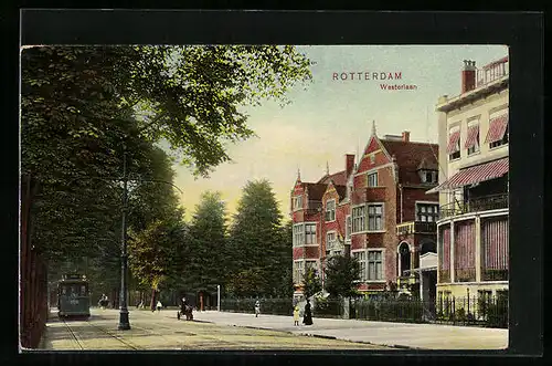 AK Rotterdam, Westerlaan, Strassenbahn
