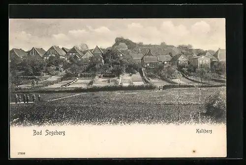 AK Bad Segeberg, Kalkberg