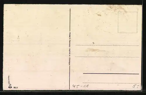 AK Turbulentes Tor mit Rosenstrauss