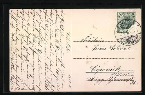 AK Vogelsang, Heilstätte Vogelsang, Krankenpavillons