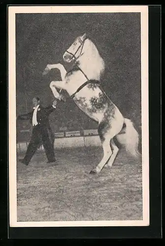 AK Radio-Circus Oural, Cheval cabreur présenté par le Maître-Ecuyer Al. Gruss