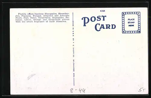 AK Picking Oranges in Florida