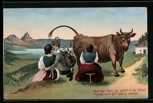 AK Kuh macht Geschäft auf Rücksack eines Mannes, Toilettenhumor