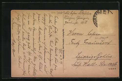 AK Wurzen, Restaurant Schweizergarten mit Strasse aus der Vogelschau