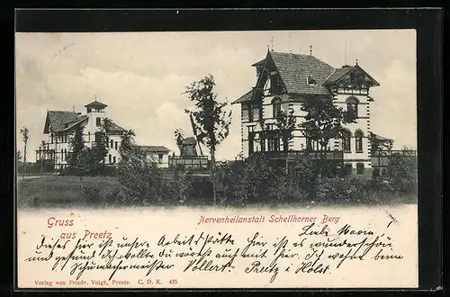 AK Preetz, Nervenheilanstalt Schellhorner Berg, mit Windmühle