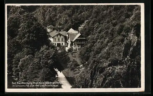 AK Bad Blankenburg /Thür. Wald, Weidmannsheil im Schwarzatal von der Siegfriedklippe