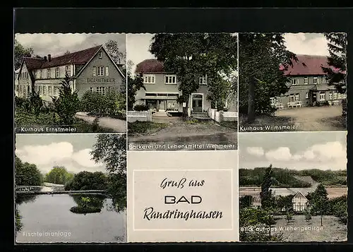 AK Bad Randringhausen, Kurhaus Ernstmeier, Fischteichanlage