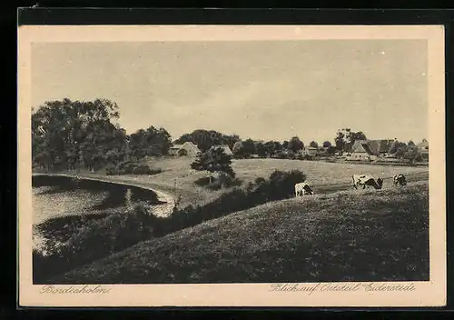 AK Bordesholm, Blick auf Ortsteil Eiderstede