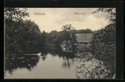 AK Westensee, Uferpartie am Mühlenteich