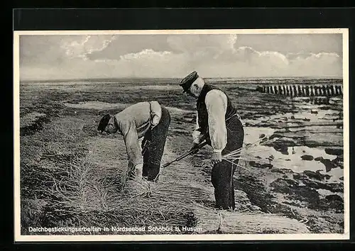 AK Schobüll b. Husum, Deichbestickungsarbeiten